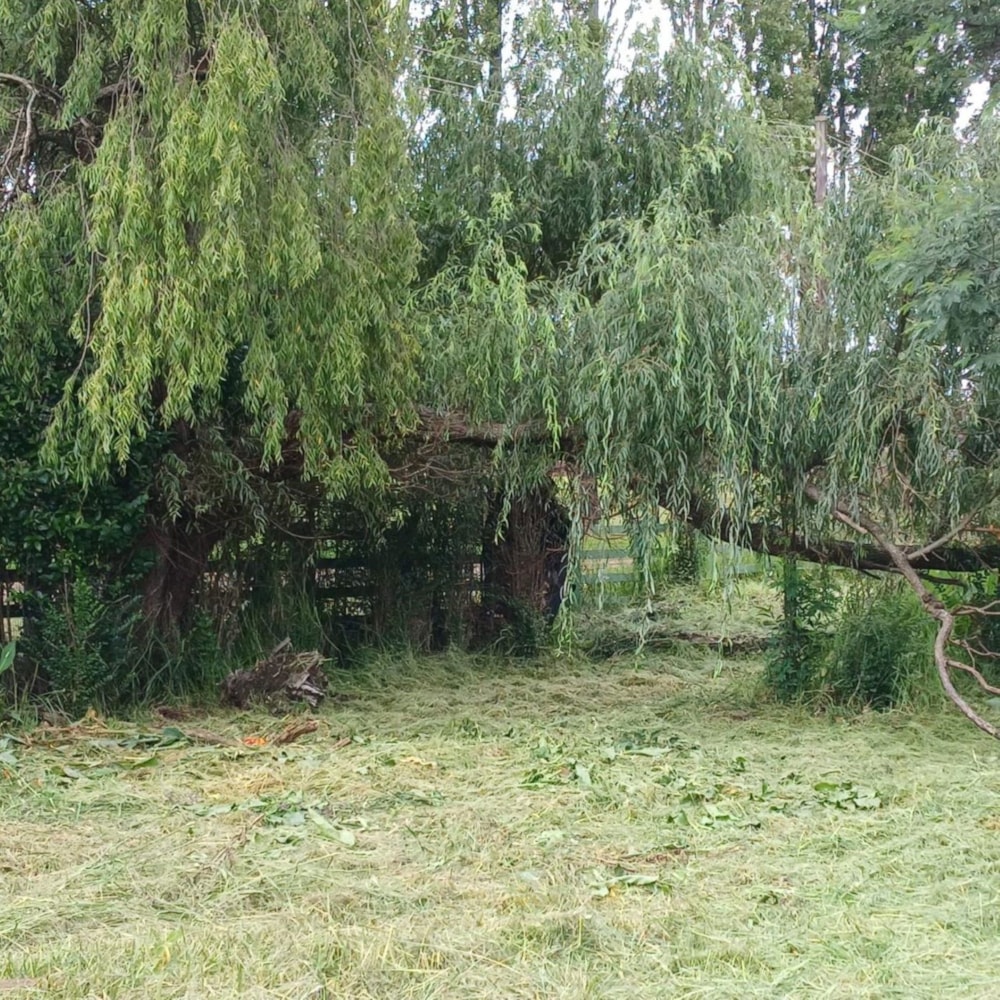 Vacant land for sale in Belfast - 1DS1689782