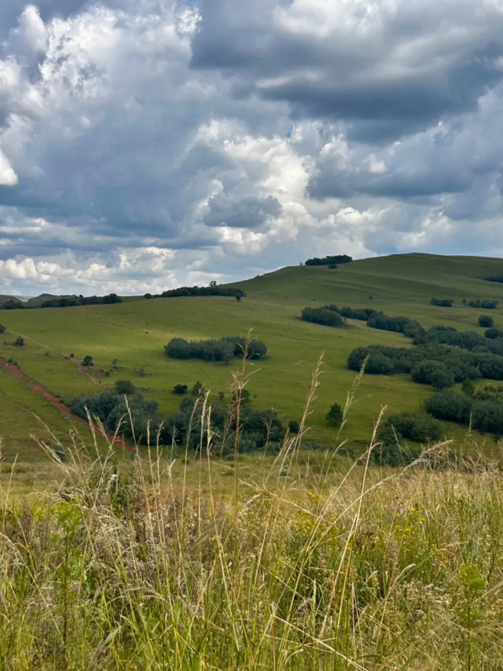 Vacant land for sale in Highland Gate - 1DS1633873