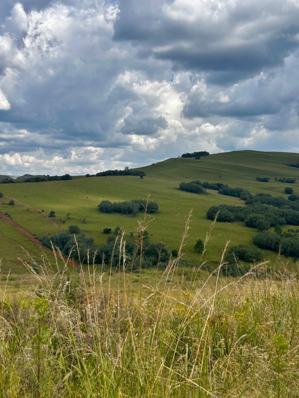 Vacant land for sale in Highland Gate - 1DS1633873 Vacant land for sale in Highland Gate - 1DS1633873