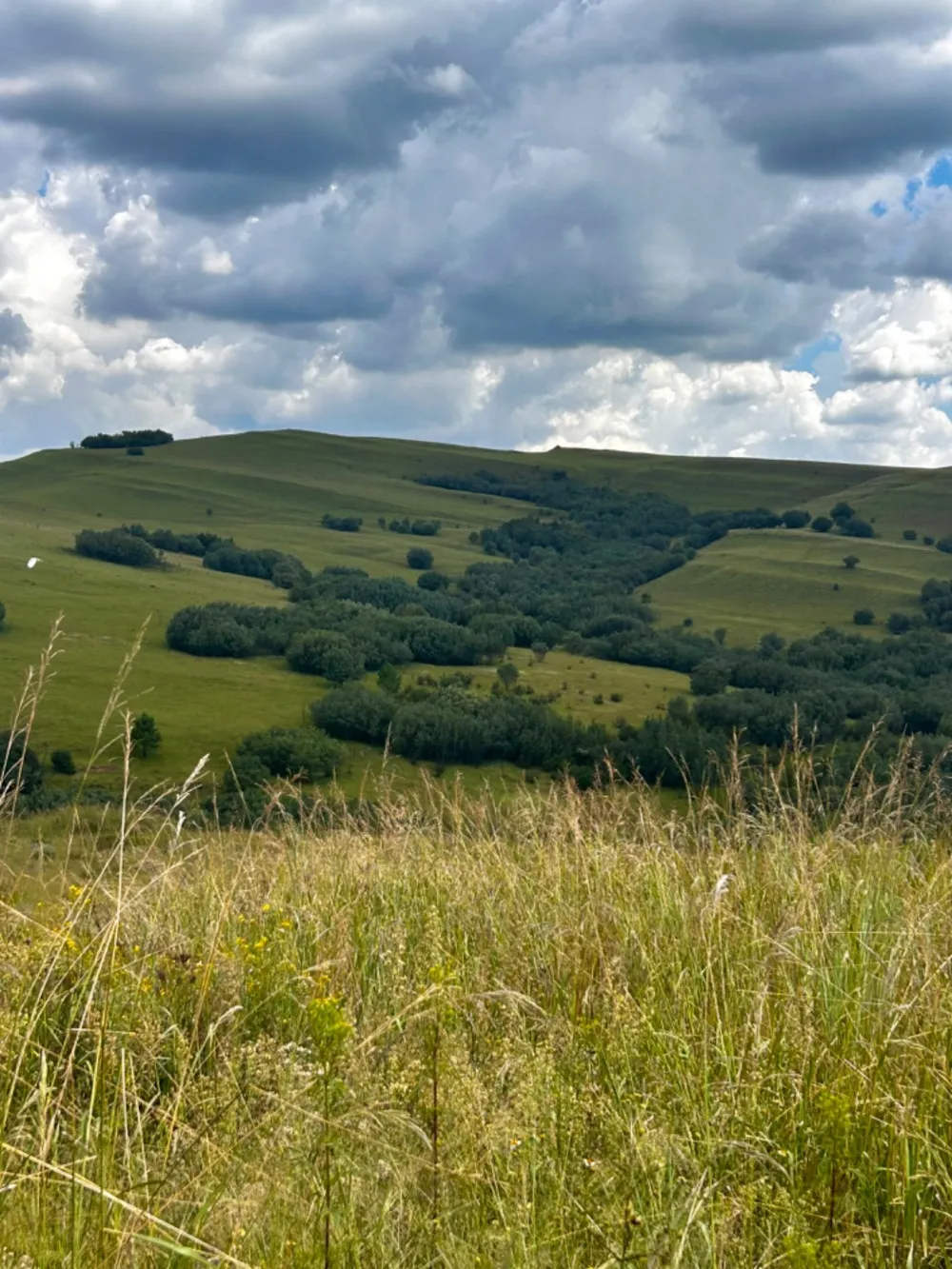 Vacant land for sale in Highland Gate - 1DS1633873