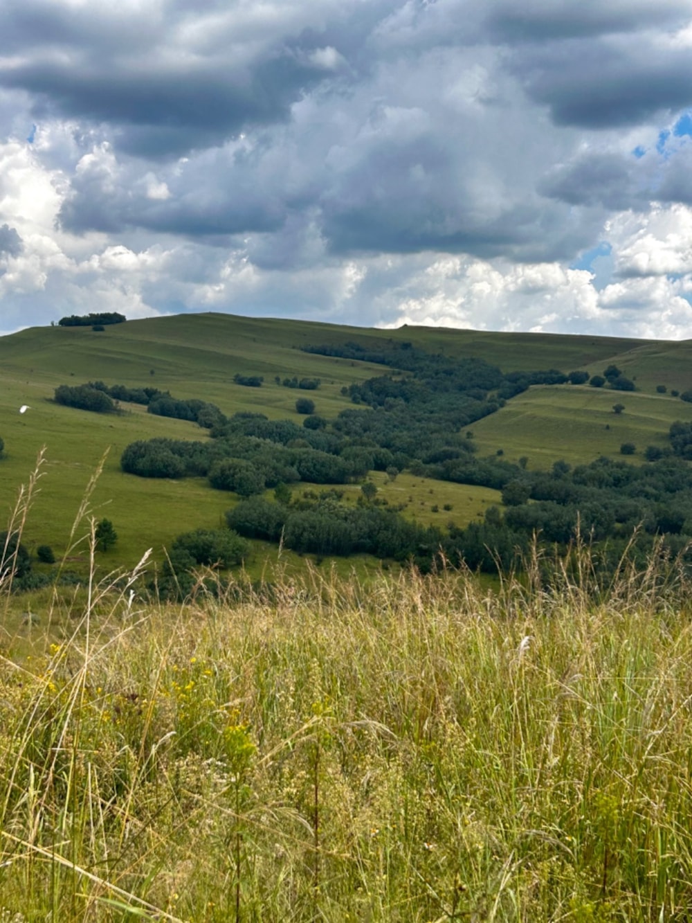 Vacant land for sale in Highland Gate - 1DS1633873 Vacant land for sale in Highland Gate - 1DS1633873