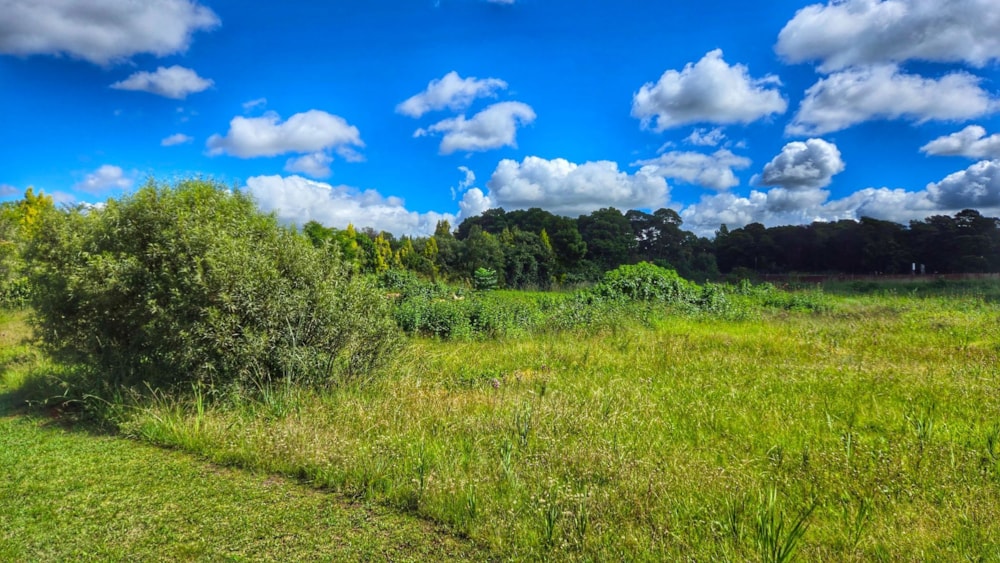 Vacant land for sale in Mooikloof Equestrian Estate - PT1579865