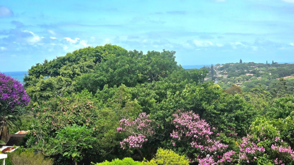 House for sale in Shelly Beach - 1PX1625137 House for sale in Shelly Beach - 1PX1625137