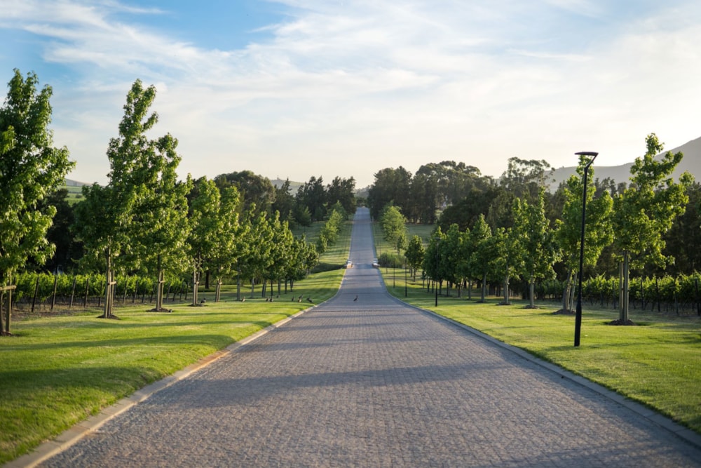 Residential vacant land sold in Klapmuts - ST1691031 Residential vacant land sold in Klapmuts - ST1691031