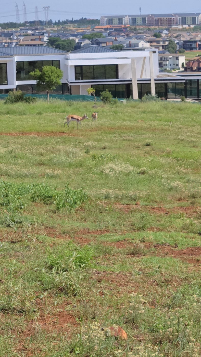 Residential vacant land sold in The Hills - PT1688932 Residential vacant land sold in The Hills - PT1688932