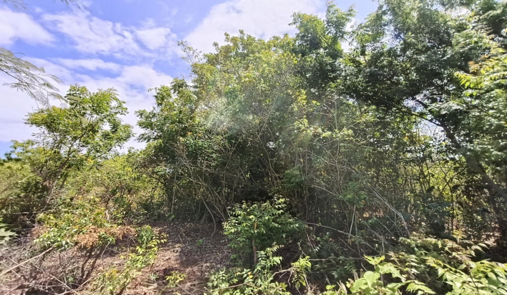 Residential vacant land for sale in Diani, Kenya - 3KE1681266 Residential vacant land for sale in Diani, Kenya - 3KE1681266