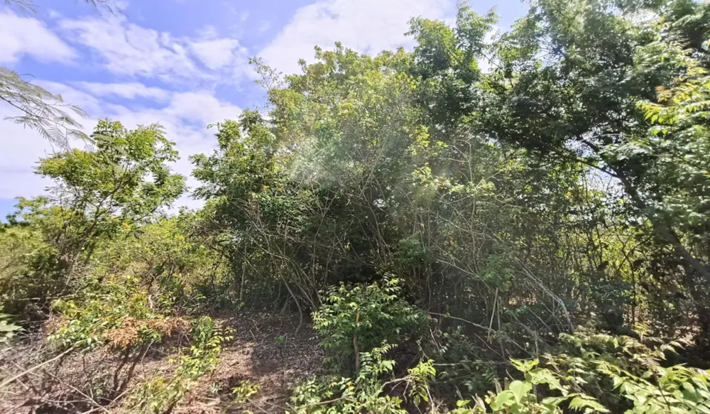 Residential vacant land for sale in Diani, Kenya - 3KE1681266 Residential vacant land for sale in Diani, Kenya - 3KE1681266