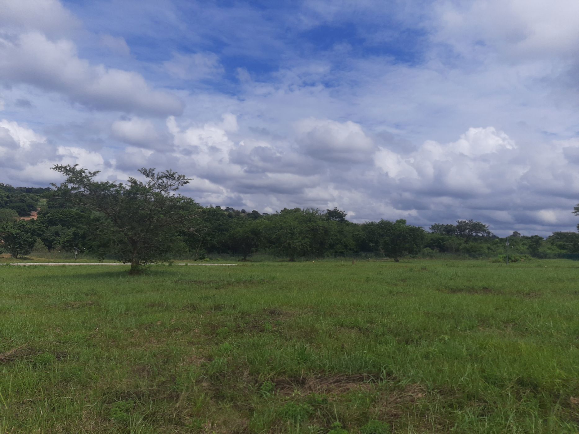 Residential vacant land for sale in Elawini Lifestyle Estate - 1NS1690731