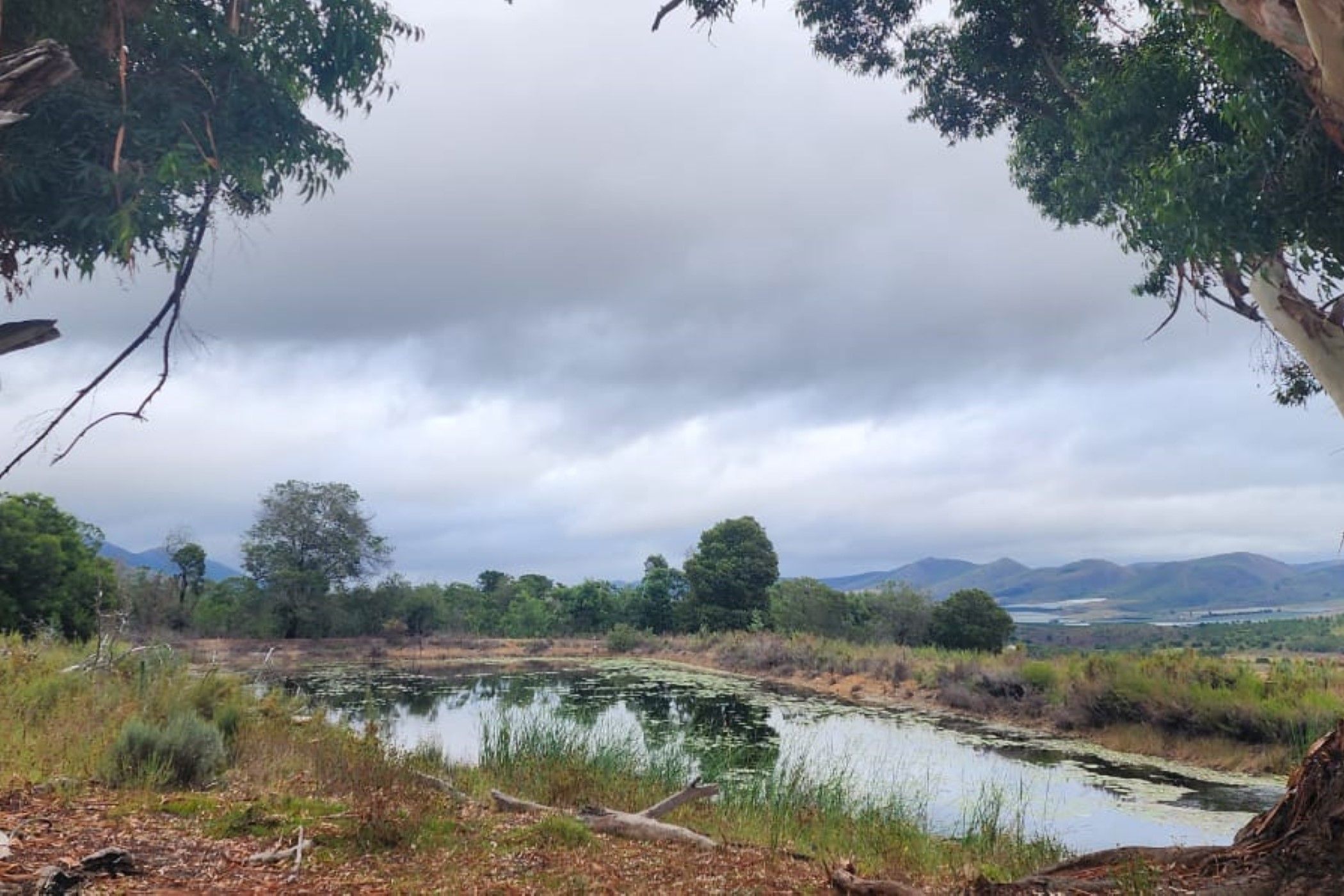 Fruit farm for sale in Krakeel River - 1SA1687700