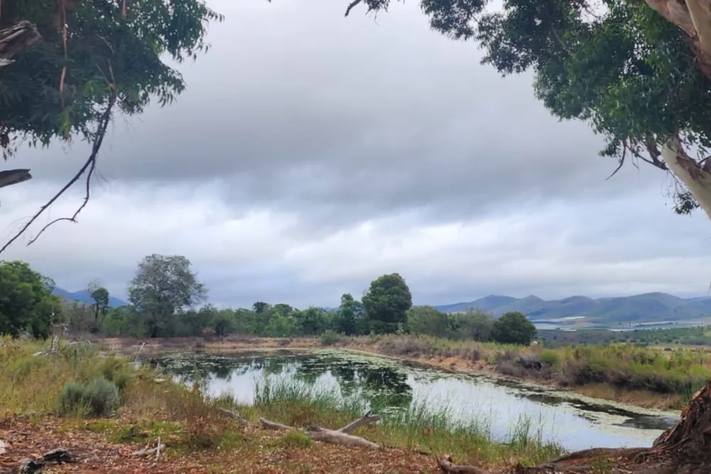 Fruit farm for sale in Krakeel River - 1SA1687700 Fruit farm for sale in Krakeel River - 1SA1687700