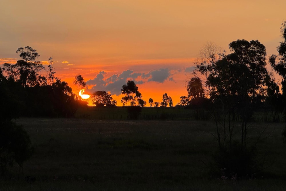 Mixed use farm for sale in Witbank (eMalahleni) - 1MD1675258