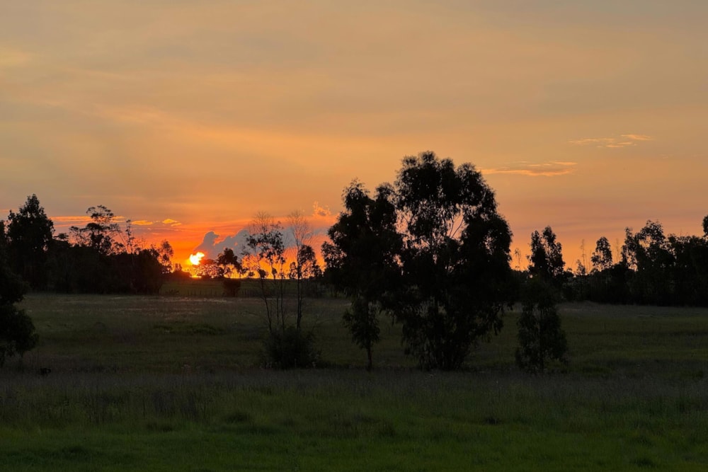 Mixed use farm for sale in Witbank (eMalahleni) - 1MD1675258