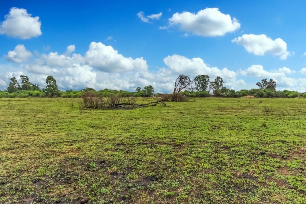 Farm vacant land for sale in Letamo Game Farm - 1KR1737735