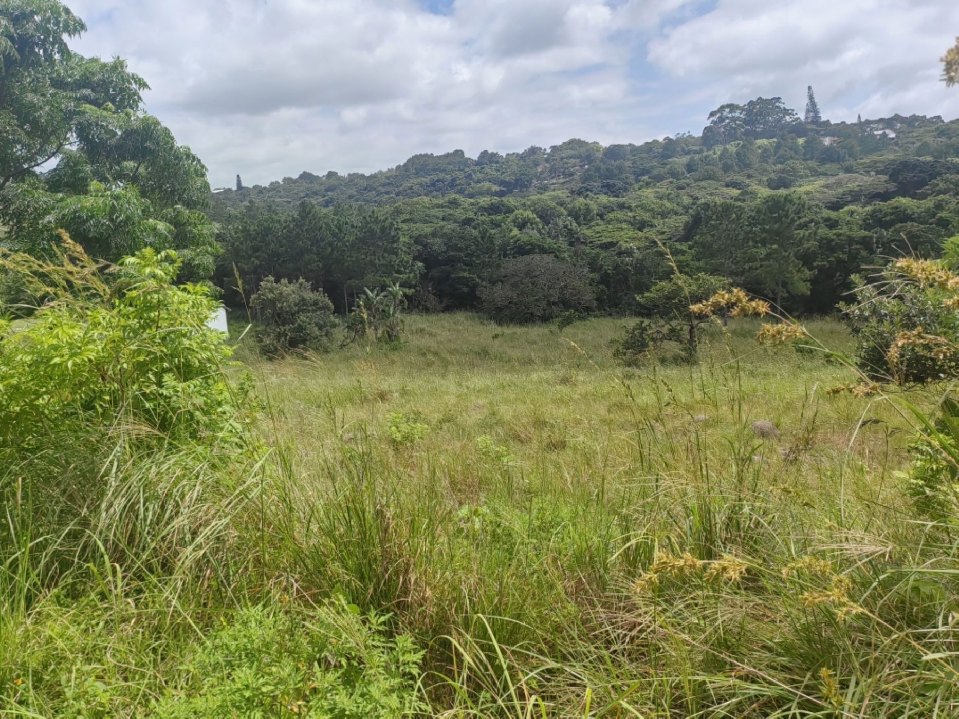 Vacant land for sale in Margate - 1PSH1689062