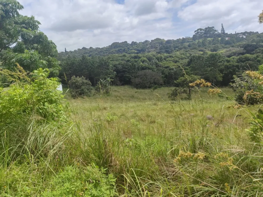 Vacant land for sale in Margate - 1PSH1689062 Vacant land for sale in Margate - 1PSH1689062