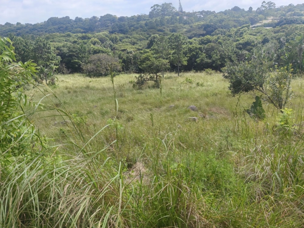 Vacant land for sale in Margate - 1PSH1689062 Vacant land for sale in Margate - 1PSH1689062