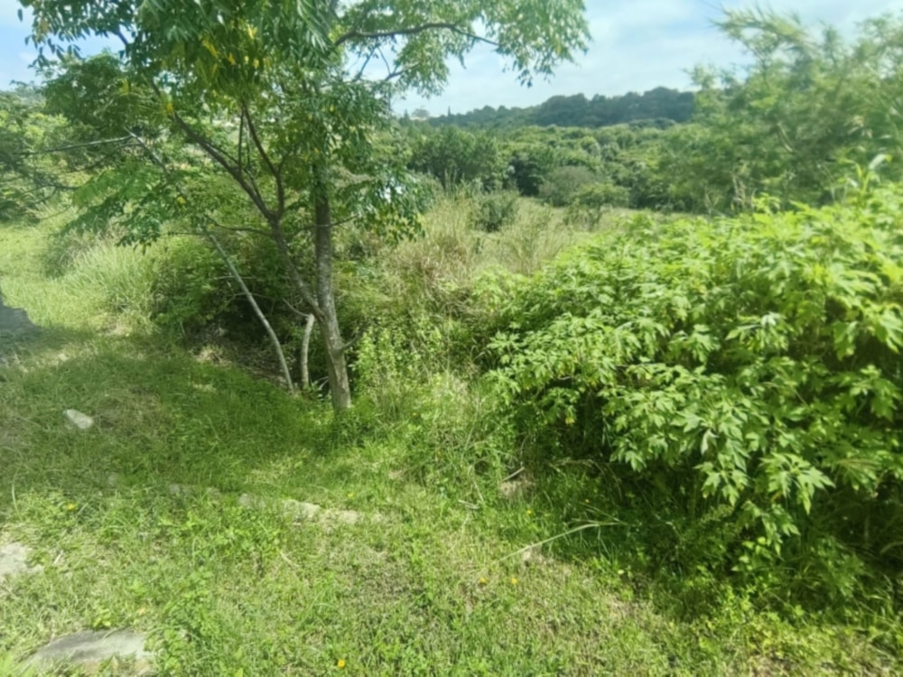 Vacant land for sale in Margate - 1PSH1689062 Vacant land for sale in Margate - 1PSH1689062