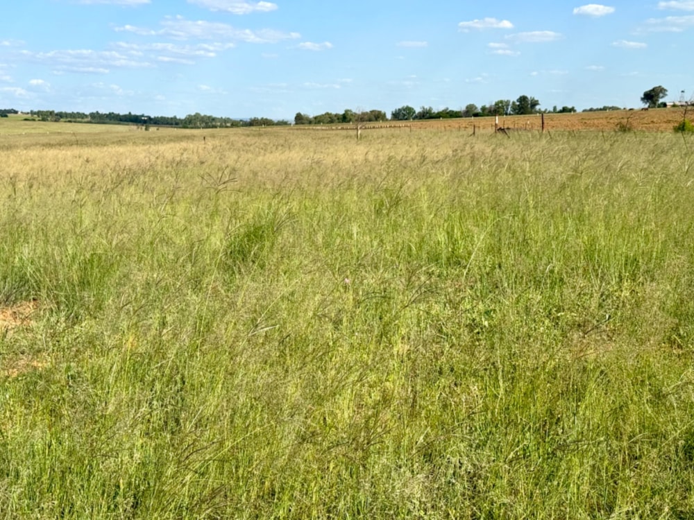 Breeding farm for sale in Bronkhorstspruit - PRN1688967