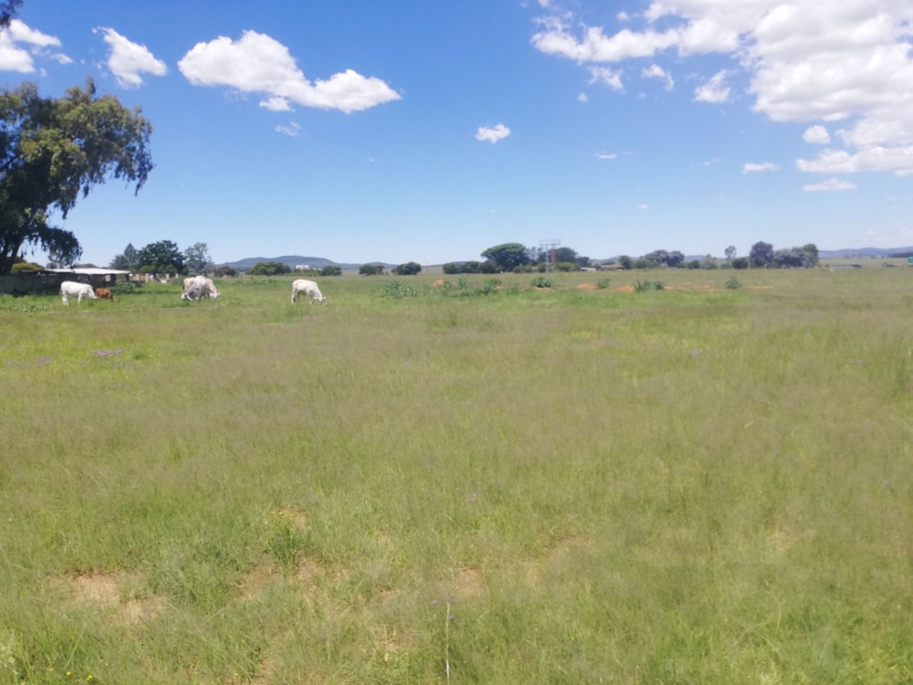 Farm vacant land sold in Helderstrome - 1VT1688818 Farm vacant land sold in Helderstrome - 1VT1688818