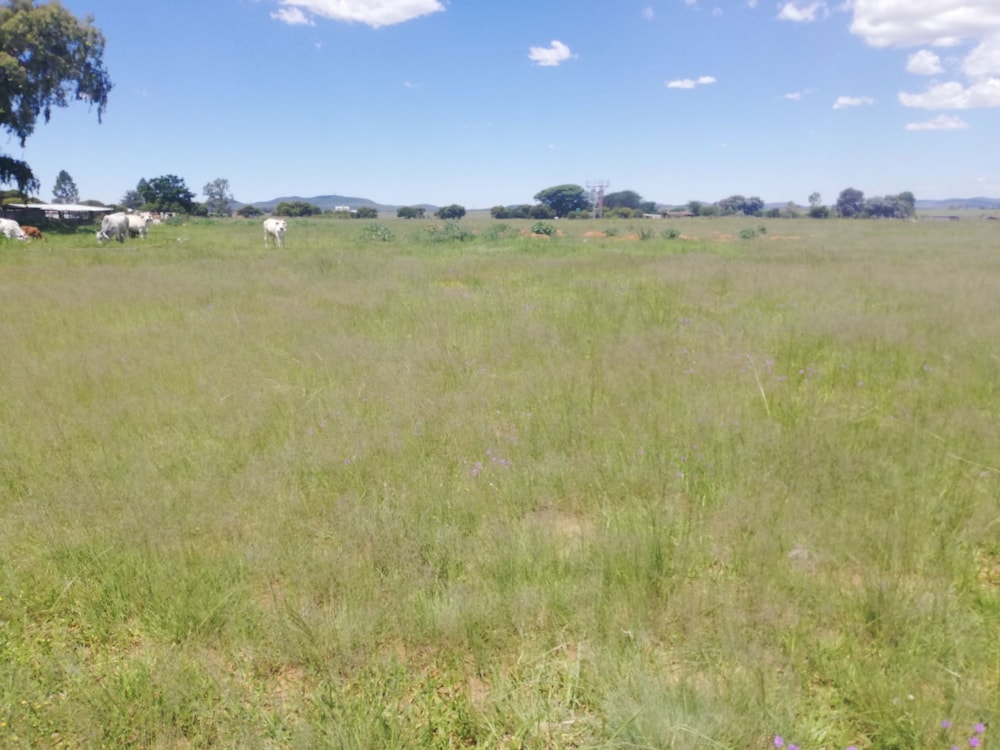 Farm vacant land sold in Helderstrome - 1VT1688818 Farm vacant land sold in Helderstrome - 1VT1688818