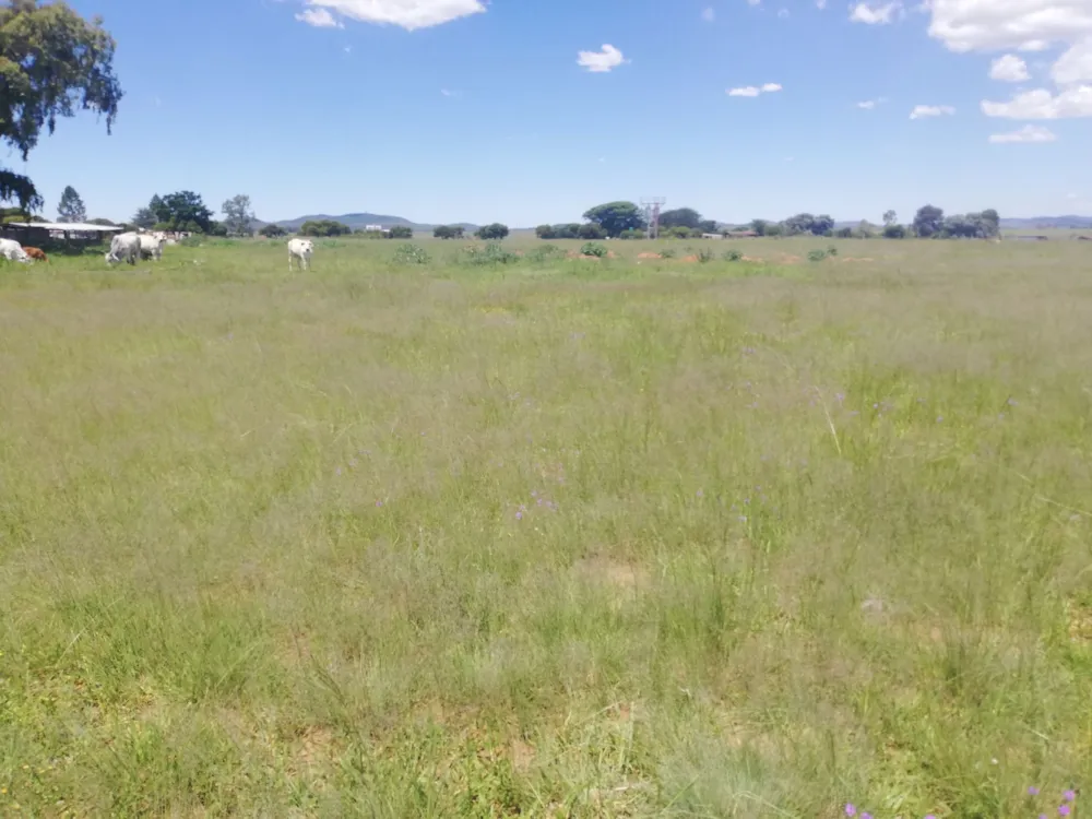 Farm vacant land sold in Helderstrome - 1VT1688818 Farm vacant land sold in Helderstrome - 1VT1688818