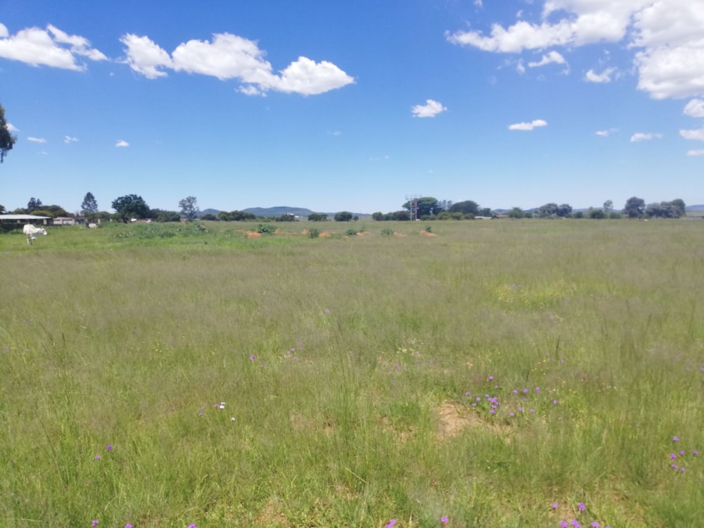 Farm vacant land sold in Helderstrome - 1VT1688818 Farm vacant land sold in Helderstrome - 1VT1688818