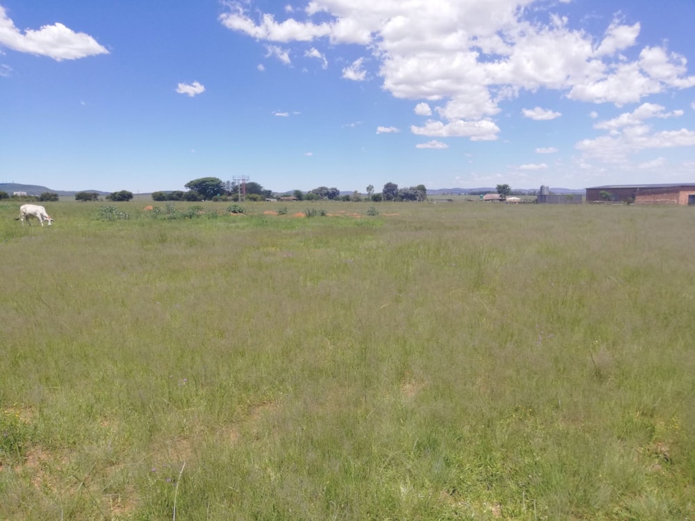 Farm vacant land sold in Helderstrome - 1VT1688818 Farm vacant land sold in Helderstrome - 1VT1688818