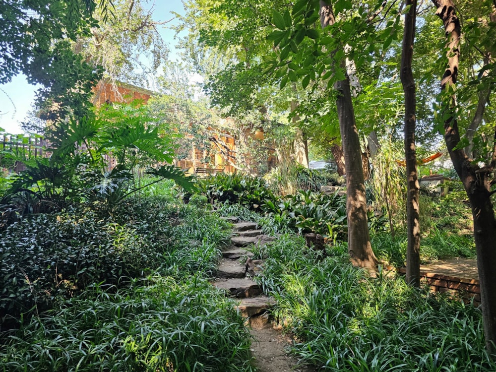 House for sale in Heidelberg, Gauteng - 1SP1689629 House for sale in Heidelberg, Gauteng - 1SP1689629