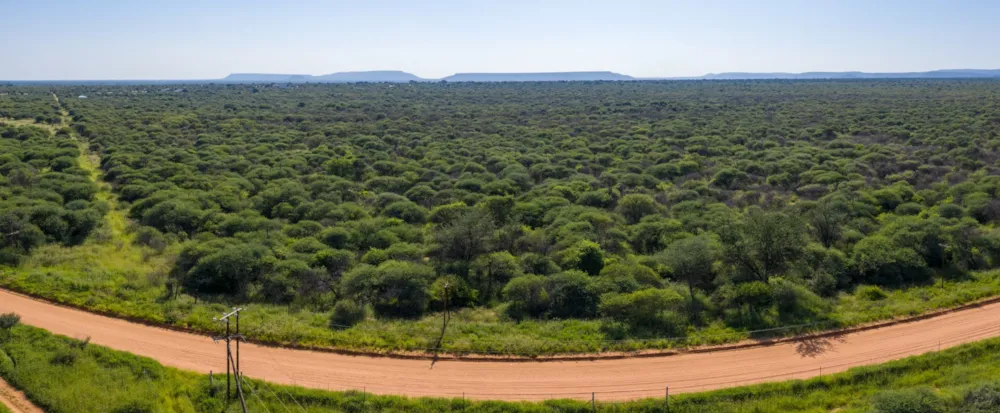 Farm vacant land for sale in Ellisras (Lephalale) - 1ER1688858 Farm vacant land for sale in Ellisras (Lephalale) - 1ER1688858