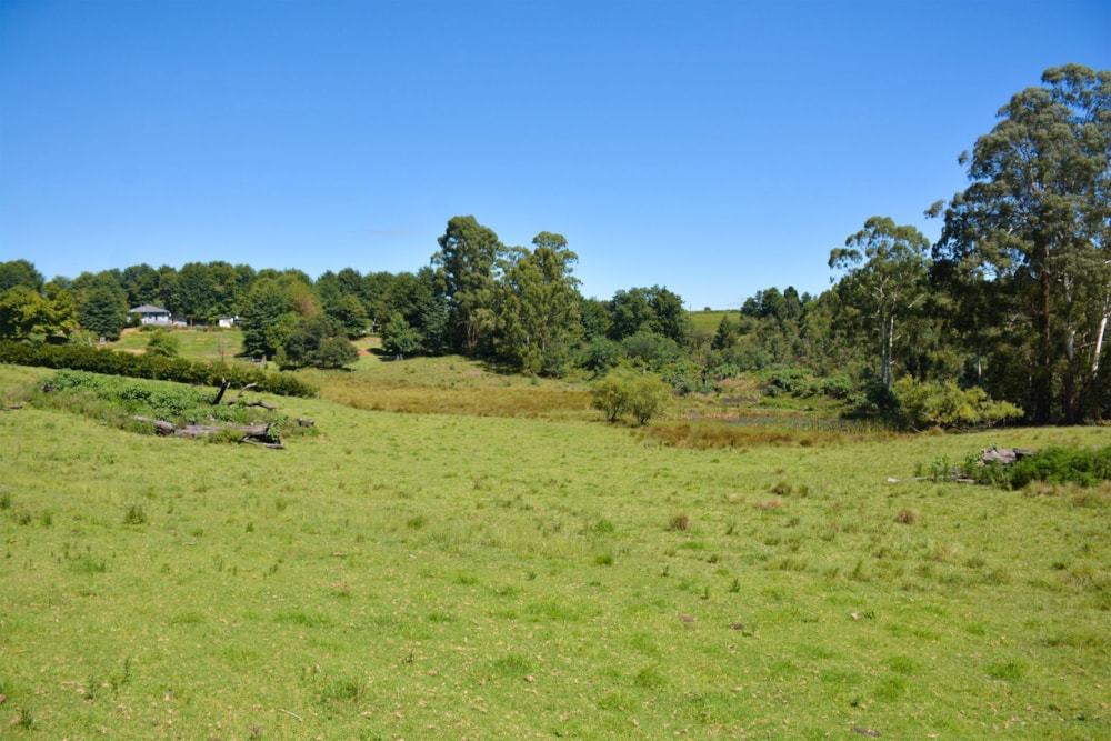 Vacant land sold in Nottingham Road - 1PM1688880 Vacant land sold in Nottingham Road - 1PM1688880