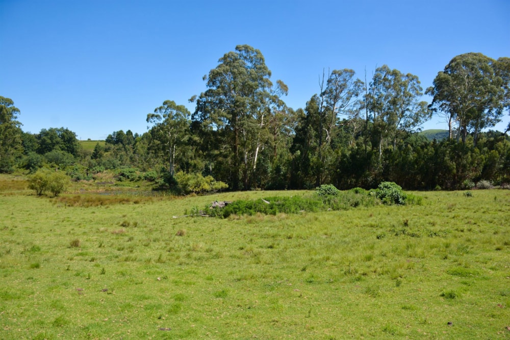 Vacant land sold in Nottingham Road - 1PM1688880 Vacant land sold in Nottingham Road - 1PM1688880
