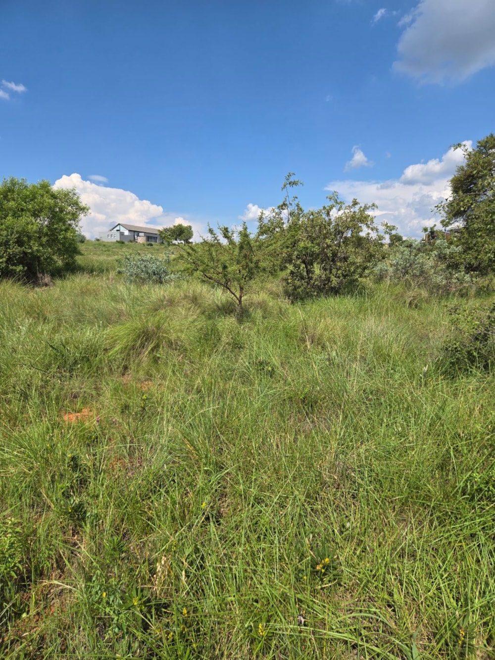 Residential vacant land for sale in The Hills - PT1740591 Residential vacant land for sale in The Hills - PT1740591