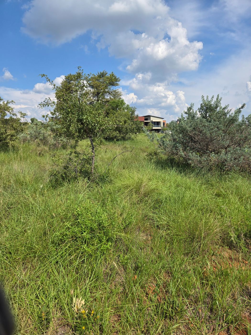 Residential vacant land for sale in The Hills - PT1740591