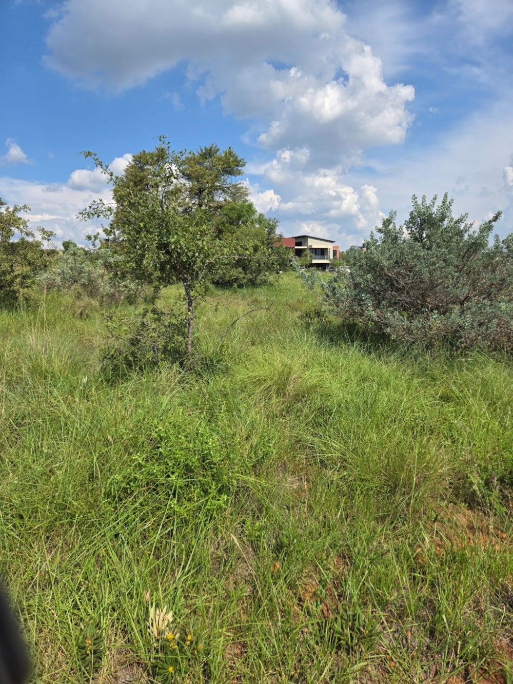 Residential vacant land for sale in The Hills - PT1740591 Residential vacant land for sale in The Hills - PT1740591