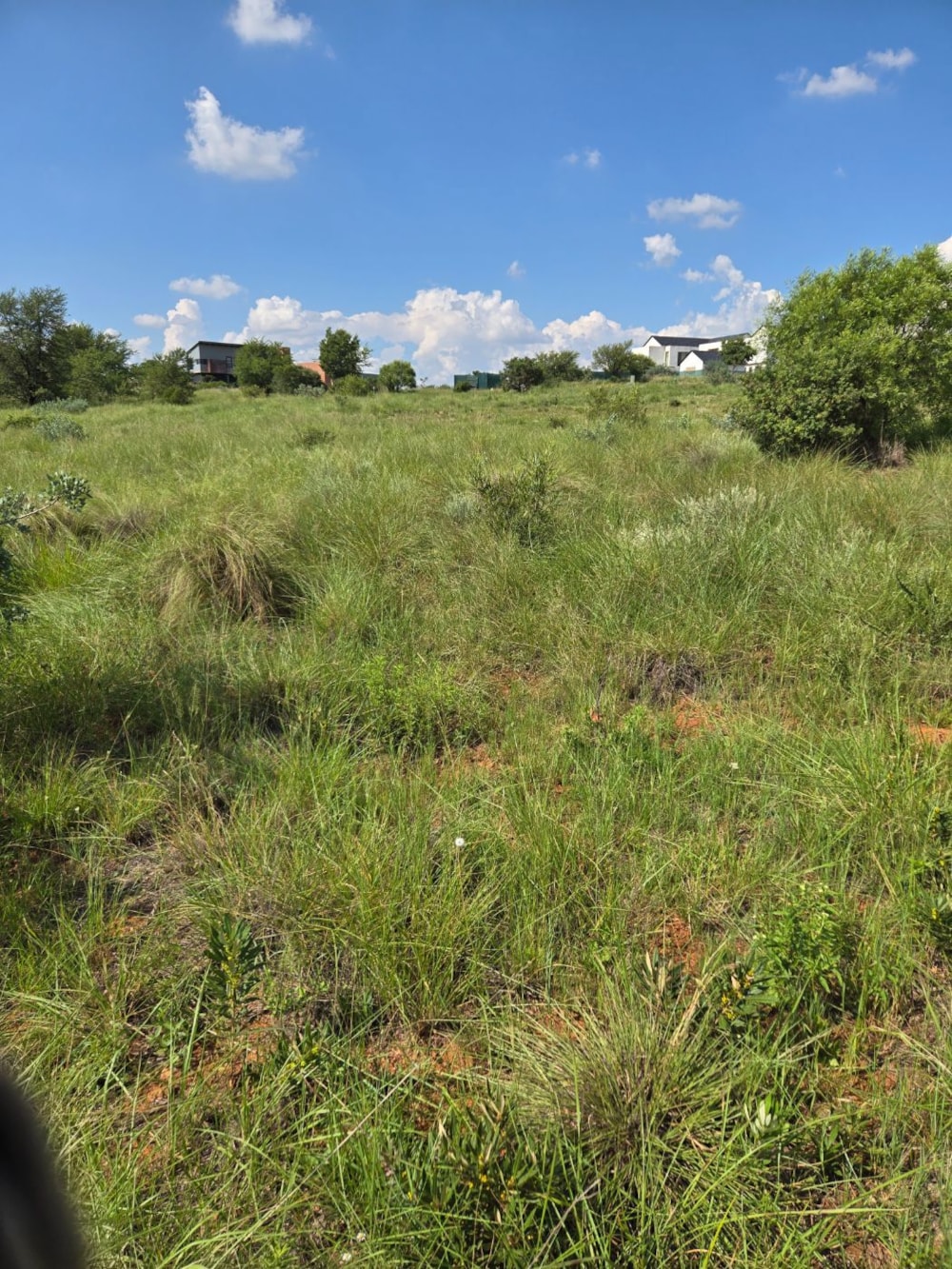 Residential vacant land for sale in The Hills - PT1740591 Residential vacant land for sale in The Hills - PT1740591