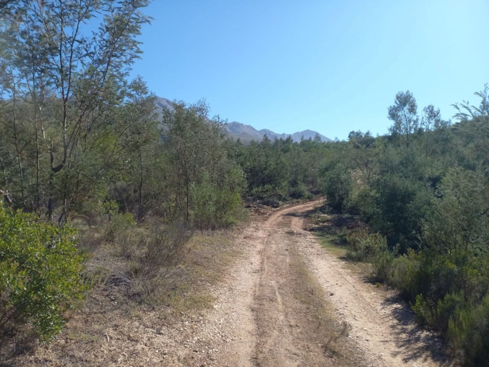 Vacant land for sale in Oudtshoorn Rural - 1OU1689019