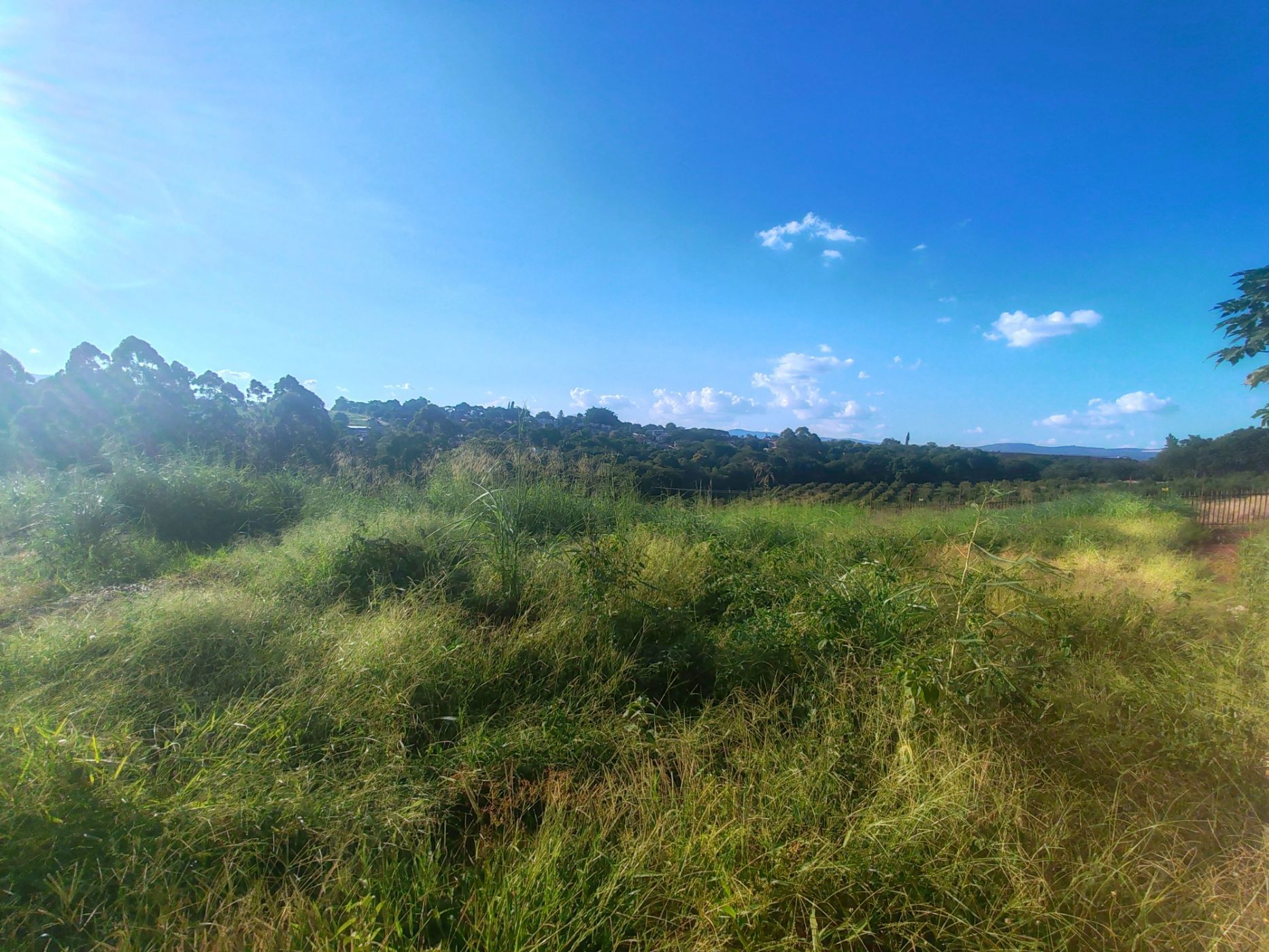 Vacant land for sale in Riverside Estate, Tzaneen - 1TA1689063