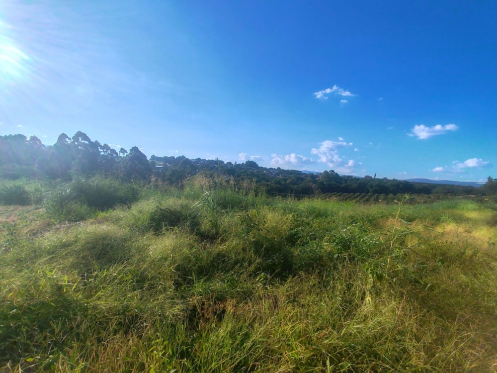 Vacant land for sale in Riverside Estate, Tzaneen - 1TA1689063