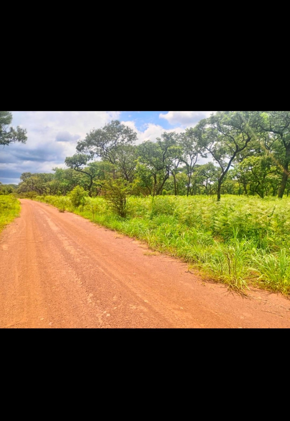 Farm vacant land for sale in Muchinga, Zambia - 3ZA1689067