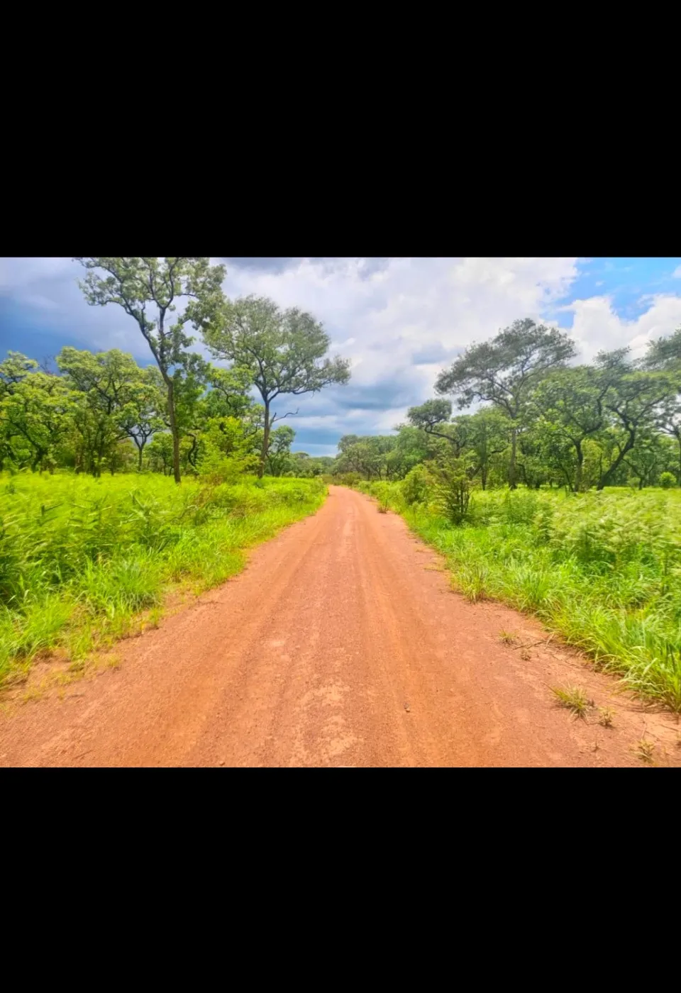 Farm vacant land for sale in Muchinga, Zambia - 3ZA1689067