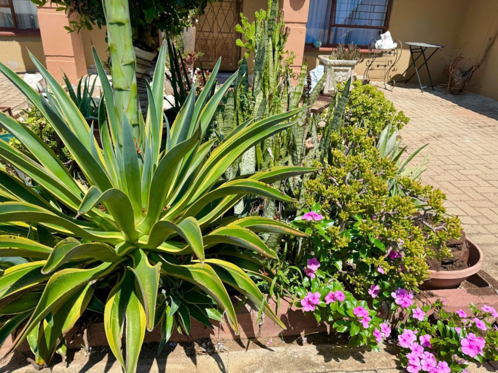 Townhouse for sale in Polokwane Central - 1PS1689141 Townhouse for sale in Polokwane Central - 1PS1689141