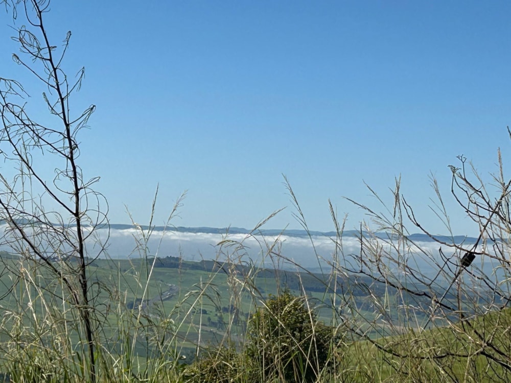 Garden cottage to rent in Currys Post - 1PM1689209 Garden cottage to rent in Currys Post - 1PM1689209