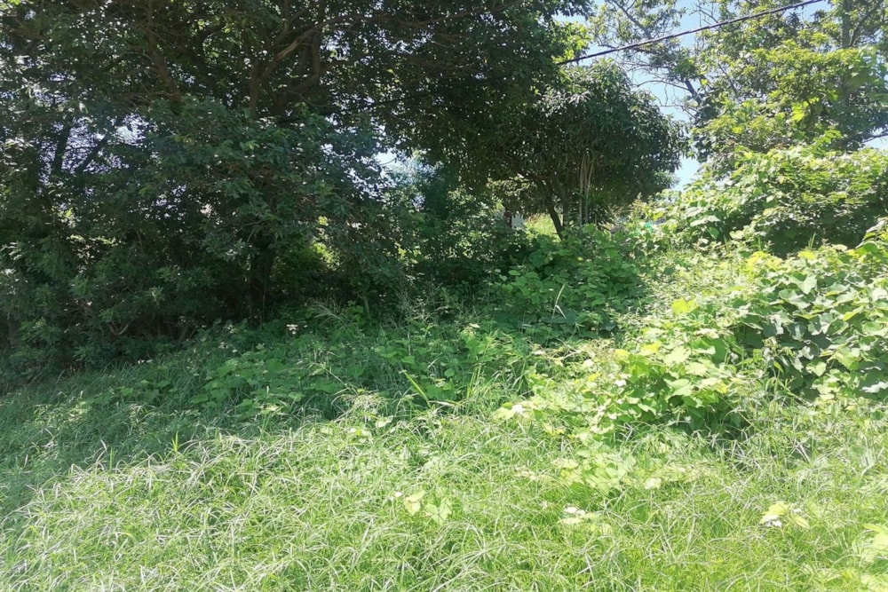 Vacant land for sale in Lovu - 1WB1689188