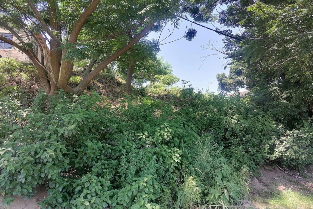 Vacant land for sale in Lovu - 1WB1689188