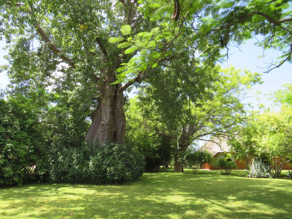 Game farm for sale in Lephalale Rural - 1ER1689277 Game farm for sale in Lephalale Rural - 1ER1689277