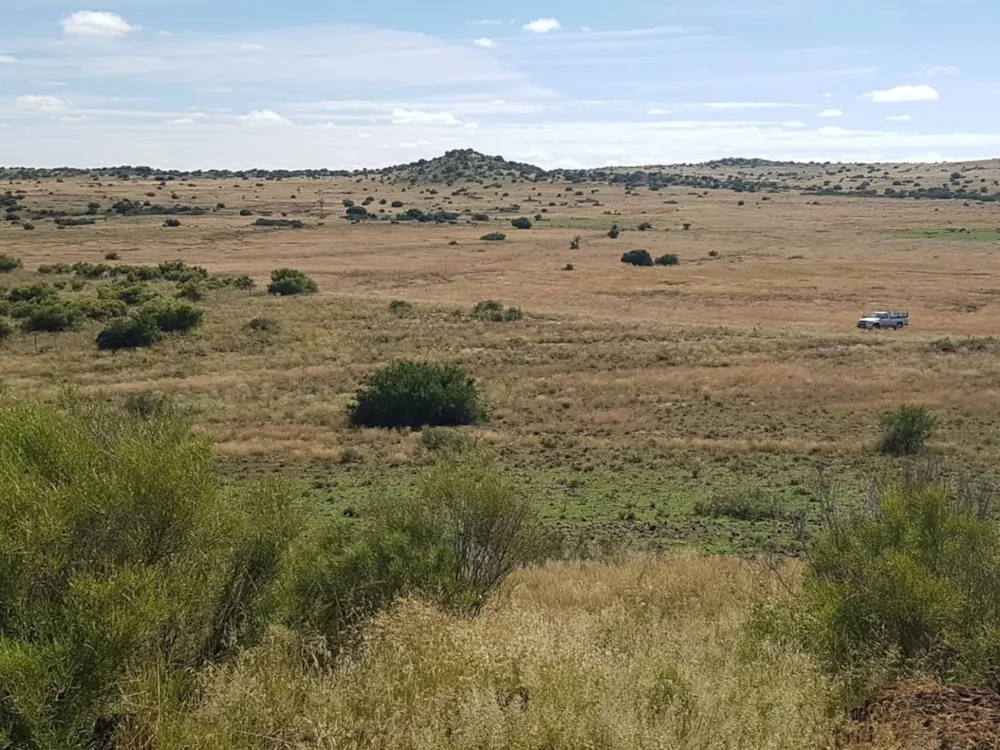 Game farm for sale in Gariepdam - 1KK1689902 Game farm for sale in Gariepdam - 1KK1689902