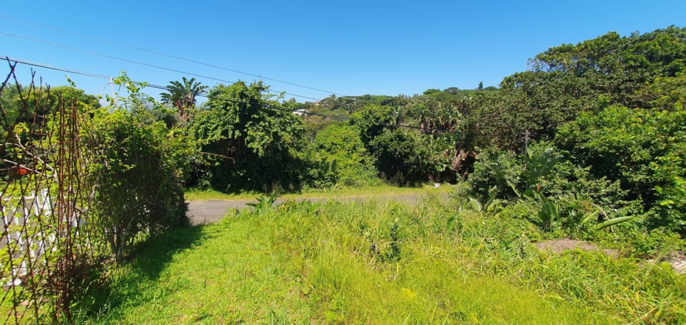 Residential vacant land for sale in Trafalgar - 1PD1689456