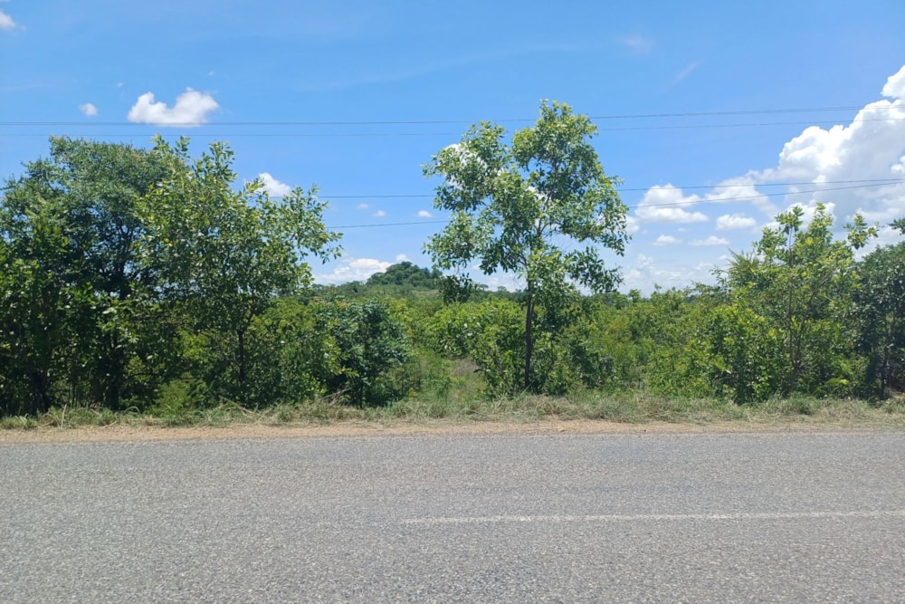 Farm vacant land for investment in Tete, Tete, Mozambique - 3MQ1689461