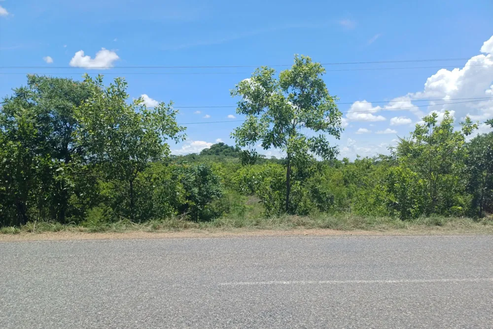 Farm vacant land for investment in Tete, Tete, Mozambique - 3MQ1689461 Farm vacant land for investment in Tete, Tete, Mozambique - 3MQ1689461