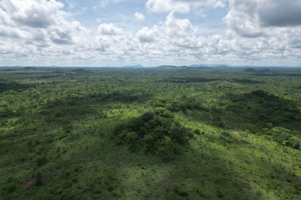 Farm vacant land for investment in Tete, Tete, Mozambique - 3MQ1689461